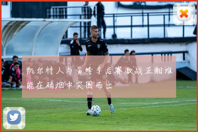 凯尔特人与黄蜂季后赛激战正酣谁能在硝烟中突围而出